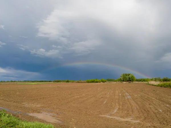 A beautiful picturesque scenic landscape of arable agricultural land after the rain and a colorful rainbow in the background against the dark clouds in the sky. Plowed field after the storm.