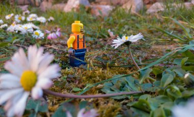 Lego işçisi, mutlu yüzlü bir çocuk oyuncağı çimlerin üzerinde, çiçeklerin arasında duran, gün boyunca beyaz papatyalar..