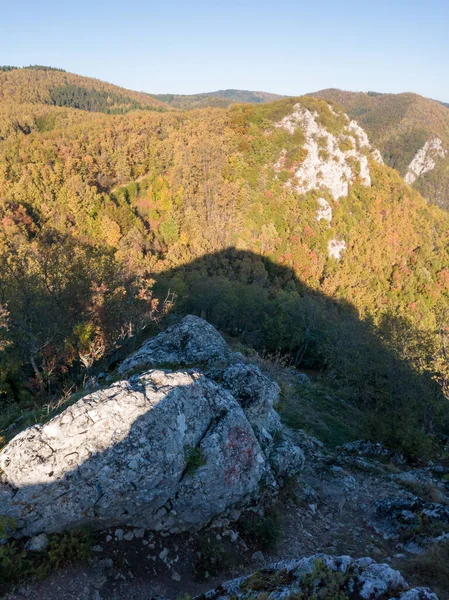 Γραφική Θέα Από Την Πλαγιά Του Βουνού Κοζάρα Κατάφυτη Δάσος — Φωτογραφία Αρχείου