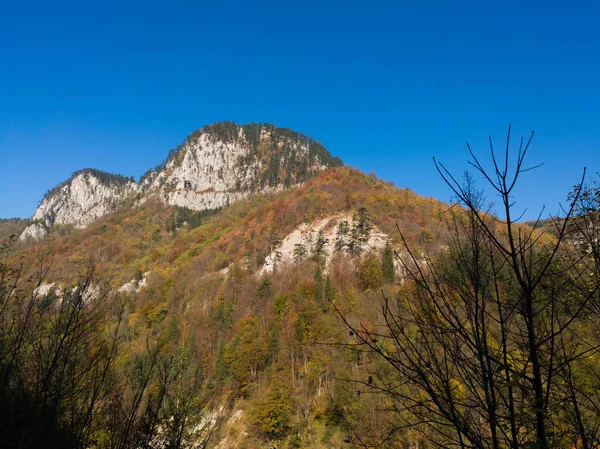 Γραφική Θέα Ενός Βουνού Απότομων Βραχωδών Βράχων Κατάφυτη Δάσος Φθινόπωρο — Φωτογραφία Αρχείου
