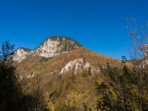 Γραφική Θέα Ενός Βουνού Απότομων Βραχωδών Βράχων Κατάφυτη Δάσος Φθινόπωρο — Φωτογραφία Αρχείου