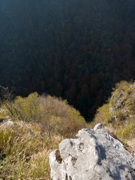 Urwisko Górze Wiecznie Zielonym Lasem Zacienionej Dolinie — Zdjęcie stockowe