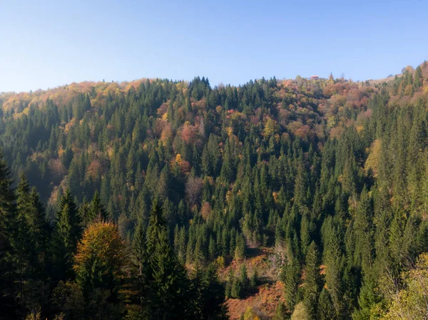 Hory Pokryté Listnatým Věčně Zeleným Lesem Podzim Během Slunečného Dne — Stock fotografie