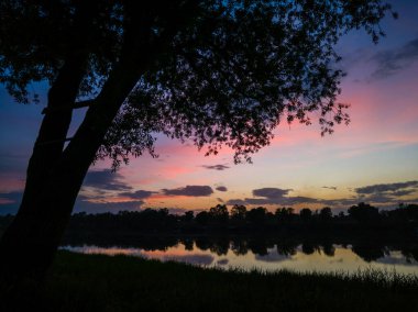 Bir ağacın silueti mavi ve pembe bulutlara karşı Yaz günbatımından sonra nehir kenarında.