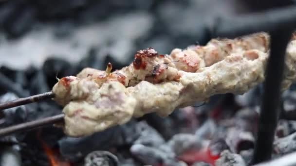 Rostning Matlagning Kyckling Malai Tikka Indisk Träkol Grill Gata Matrestaurang — Stockvideo