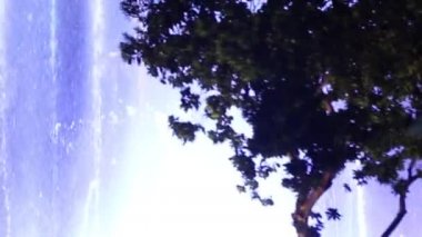 Las Vegas 'ta renkli bir çeşme