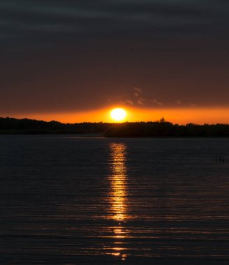 Suyun üstünde günbatımının dikey fotoğrafı. Ufuktaki orman. Güneş suya yansıyor.