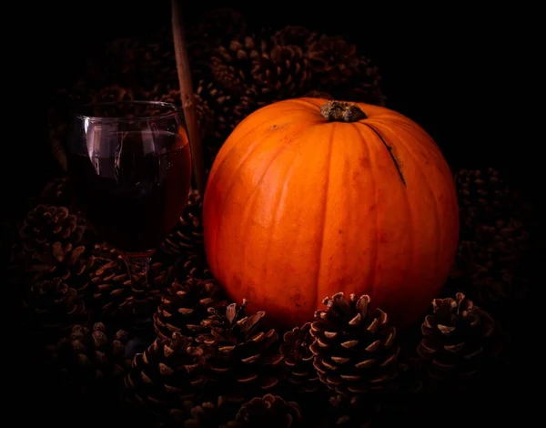 Kürbis Herbst Tannenzapfen Und Sonnenblumen — Stockfoto