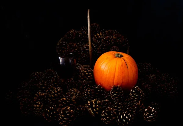 Kürbis Herbst Tannenzapfen Und Sonnenblumen — Stockfoto