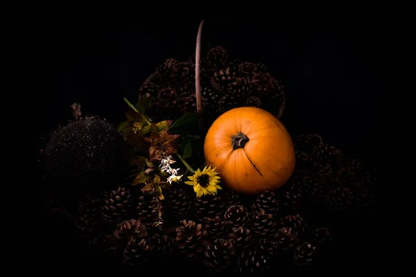 Kürbis Herbst Tannenzapfen Und Sonnenblumen — Stockfoto