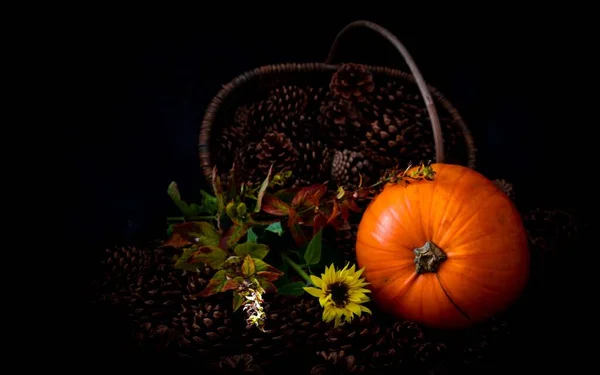 Jesień Ustawienie Dyni Rustykalne Szyszki Sosnowe Kwiaty Słońca — Zdjęcie stockowe