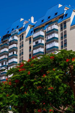 Mavi çatılı iki bina ve kırmızı çiçekli bir ağaç.