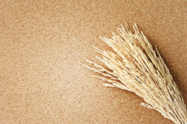 Spike Rýže Dřevo Pozadí — Stock fotografie