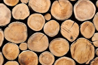 teak ahşap güdük arka plan duvar kağıdı kullanabilirsiniz