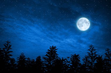 siluet yıldızlı gece gökyüzü ve dolunay, bu görüntü unsurları ile ormanda nasa tarafından döşenmiş