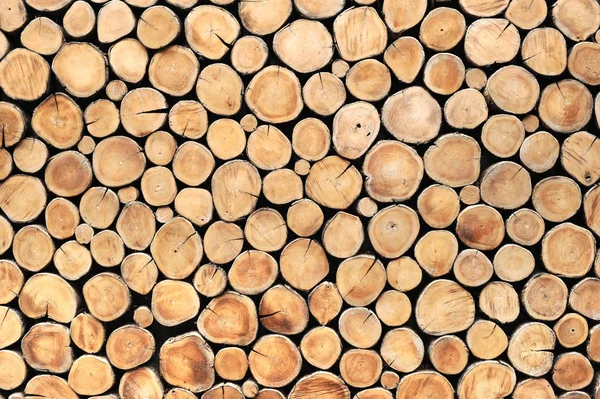 teak ahşap güdük arka plan duvar kağıdı kullanabilirsiniz