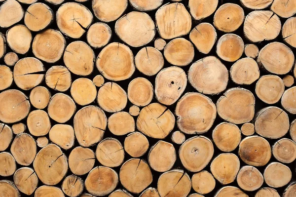 teak ahşap güdük arka plan duvar kağıdı kullanabilirsiniz
