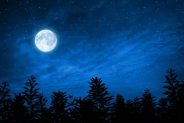 siluet yıldızlı gece gökyüzü ve dolunay, bu görüntü unsurları ile ormanda nasa tarafından döşenmiş