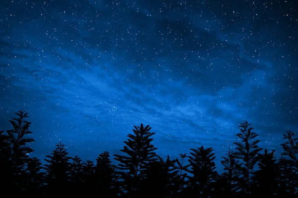 Forest Silhouette Starry Night Sky Elements Image Furnished Nasa — стоковое фото