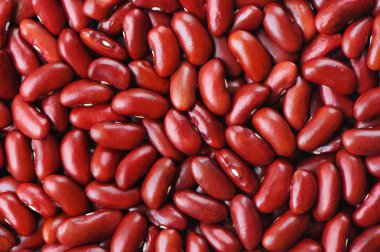 arka plan olarak kuru fasulye desen