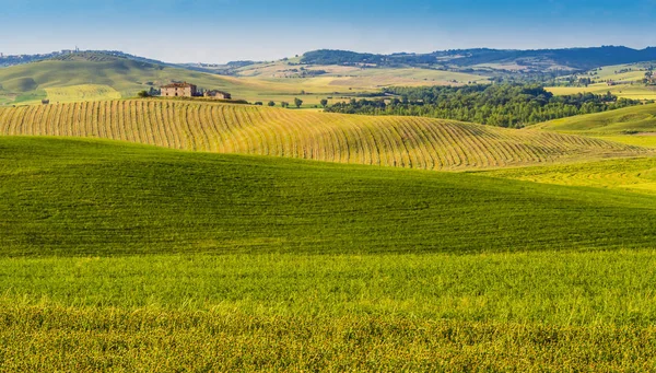 Indrukwekkende Toscaanse Landschap Met Akkers Glooiende Heuvels Rechtenvrije Stockfoto's