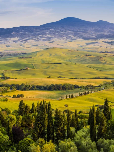 Charming Tuscan Landscape Rolling Hills Rows Cypresses — Stock Photo, Image