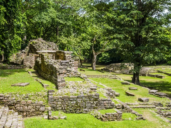 Gamle Mayaernes Ruiner Yaxchilan Arkæologiske Park Chiapas Mexico - Stock-foto