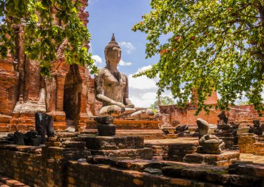Tayland, Buda'nın heykel Ayutthaya eski tapınak ağaçlarda çevrili görünümünü çarpıcı