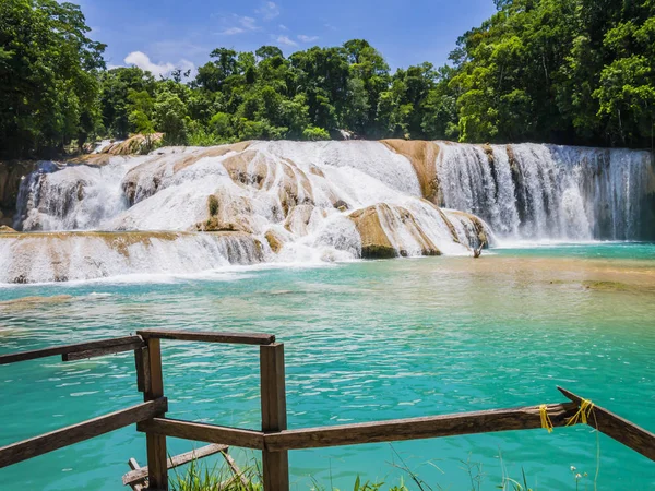 Agua Azul şelaleler Chiapas, Meksika'nın yemyeşil yağmur ormanları içinde şaşırtıcı görünümü