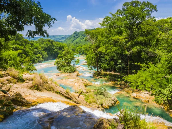 Chiapas, Meksika yemyeşil yağmur ormanlarında Agua Azul şelalelerinin panoramik manzarası