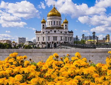 Ön planda sarı çiçeklerle Kurtarıcı İsa'nın ortodoks katedralinin manzara görünümü, Moskova, Rusya