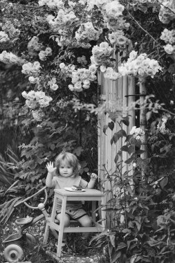 küçük çocuk gül bush yeme