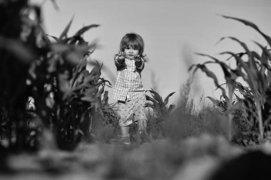 Yeşil mısır tarlasında küçük bir çocuk ya da mısır