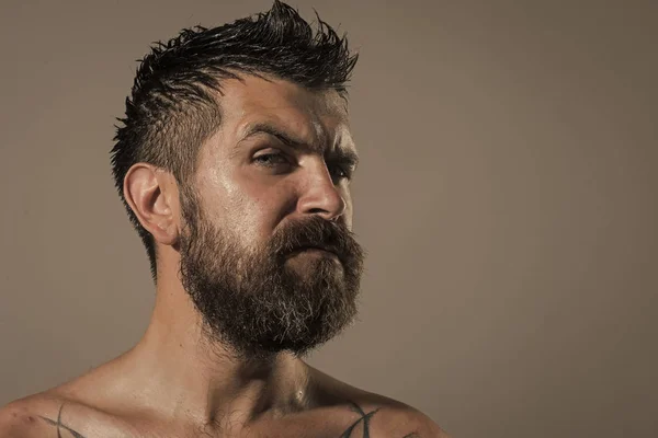 Человек с длинной бородой на серьезном лице — стоковое фото