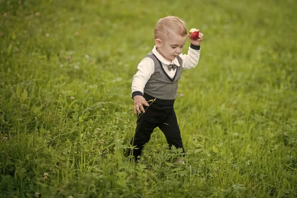 Liten pojke äter äpple på grönt gräs, mat — Stockfoto