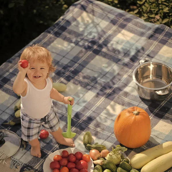 Small boy on picnic — Stock Photo, Image