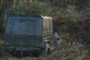 Kirli offroad araba ile orman defocused arka plan üzerine düşmek. Işıkları ile SUV yapraklarla kaplı yolu açık. Offroad yarış güneşli sonbahar, arkadan görünüm. 4 x 4 yarış kavramı.