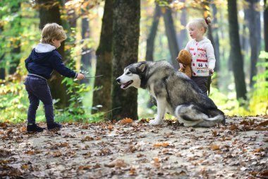 Sonbahar ormanda köpek eğitim arkadaşlar. Arkadaşlar, dostluk ve çocuk aşk.