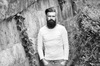 Şık sakallı adam açık