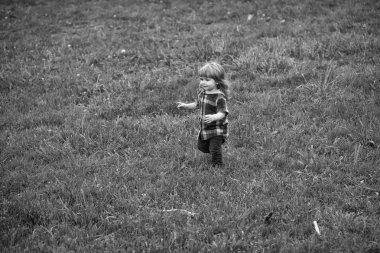 Yeşil çimenlerin üzerinde küçük bir çocuk