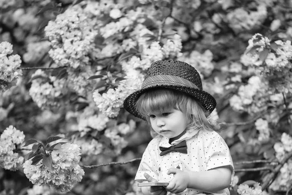 Retro pojke med telefonen i blossom — Stockfoto