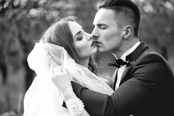 Kissing wedding couple — Stock Photo, Image