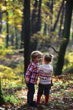 Arkadaşlar sonbahar ormanda play. Arkadaş ve çocuk dostluk, sevgi ve güven.