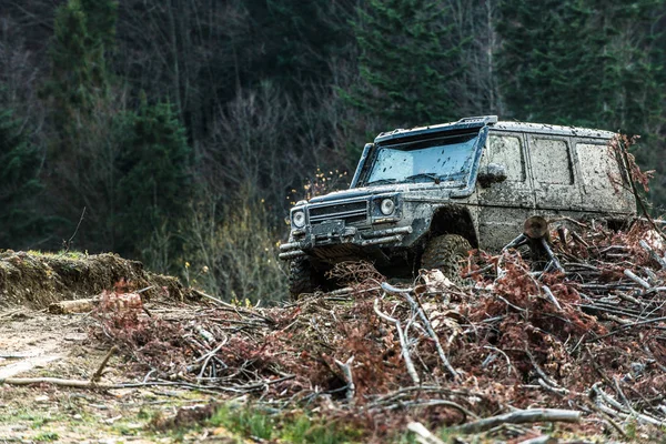 車の前に枝の山 背景には デフォーカスの暗い森と汚いオフロード車 Suv オフロード探検の後 極端なエンターテインメントの概念 — ストック写真
