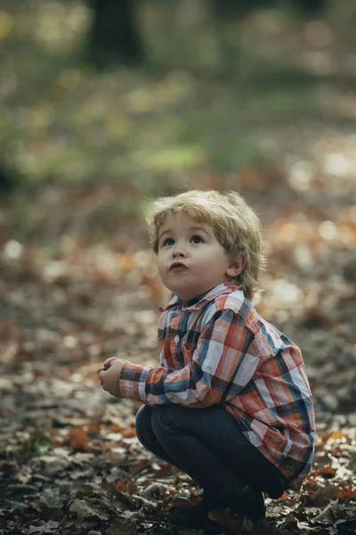 Niño Activo Jugar Bosque Otoño Descanso Activo Aire Libre Para — Foto de Stock