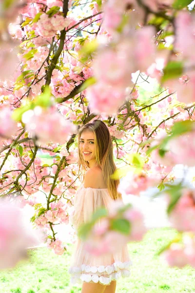 Dziewczyna Różowy Sukienka Szyfonu Stojący Pod Drzewem Wiśni Kobieta Uroczym — Zdjęcie stockowe