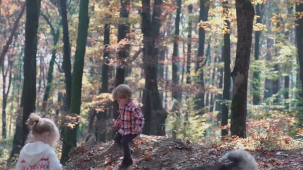 İlk aşkım. Çocuklar ormanda. Çocuk ormanda. Kız ve erkek ormanda oynuyor. Sonbahar, yaz. Mutlu çocuklar ormanda yürüyüş. — Stok video
