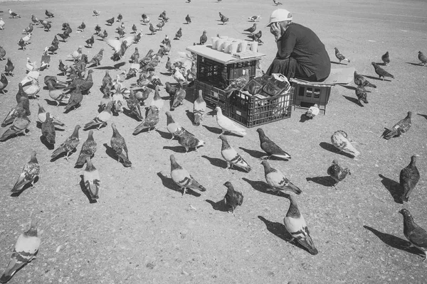 Old lonely woman feeding birds in the center of the big city. Feeding the pigeons. Elderly woman feeding pigeons on the street. Concept of kindness — Stock Photo, Image