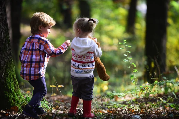 Bruder Und Schwester Haben Spaß Der Frischen Luft Kinder Spielen — Stockfoto