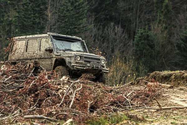 Mucchio di rami davanti all'auto . — Foto Stock